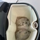 야당역 인근 이미지