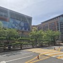 벌원초등학교 병설유치원 이미지