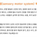알렉산더테크닉자세;움직임교육센터