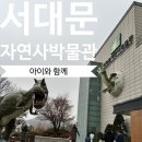 서대문자연사박물관 | [서울/서대문] 아이와 함께 - 서대문자연사박물관 관람 후기 🦖 , 미끄럼틀까지 200% 즐기기!
