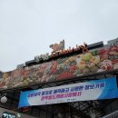 용자네전집 | [서울] 방학동 도깨비시장 방문 후기 (주차 정보 + 내돈내산 맛집 2곳 포함)