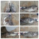 피쉬헌터 이미지