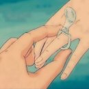 미모아애견 | W2-1 왜 소피소를 선택했나?