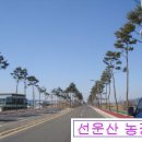 무형농장-2 이미지