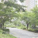 상서재동초 근린공원 네이버블로그