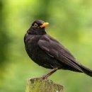 안중레포츠 공원 체육시설 이미지