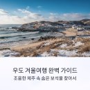 겨울여행 티스토리