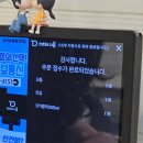 야옹이돈까스 이미지