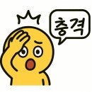 [수서1] 아는 영어 말고 (말)하는 영어 | 초등학생 영어공부 혼자하기 좋은 프로그램 [스톰스터디 보카톡톡] 사용 후기