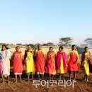 마사이 - 15548 | 마사이
