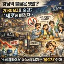 [카드뉴스] 밀레니얼 신입팀장 Z세대 신입사원을 만나다 | 강남역 불금은 옛말?" 2030 MZ들, 술 끊고 '제로'에 빠졌다… '소버 큐리어스' 역습에 무너지는 '물장사...