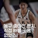 초급하모니카교실 | [공지] "성인농구 레슨, 결국 차이는 디테일에서 달라집니다."