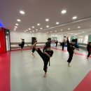 신성관 일동 합기도 이미지