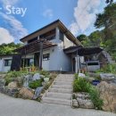 star stay 이미지
