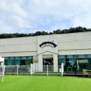 펫프닝 타운 이미지