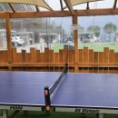 3월펜션 | 포천 알맹이캠핑 글램핑 카라반 펜션 수영 매점 룸컨디션 바베큐 불멍 3월 내돈내산 후기