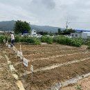 길용농장 이미지