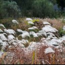 세림의료기 이미지