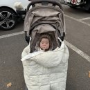 구스켓 | [내돈내산] 겨울 아기 외출 필수템 구스켓 아기띠워머/ 유모차패딩 후기