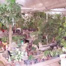 수주초등학교 이미지