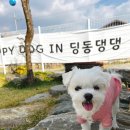 딩동댕댕