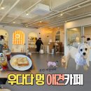 멍애견 | 부천애견카페 우다다멍 솔직 후기! 광명 애견카페 찾다 방문한 실내 애견카페