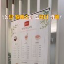 에스비스터디카페