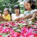 봉숭아어린이공원 이미지