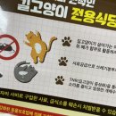 냐옹티커 네이버블로그