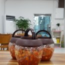 칼국시와갱시기 이미지