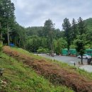 숲의머무룸 이미지