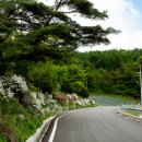 디자인팜스 이미지