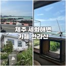 카페세화숲 | [제주] 카페 한라산 세화해수욕장 근처 분위기 좋은 오션뷰카페 고양이 제주동쪽코스
