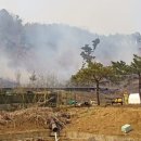 야산1 연합뉴스