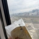 경주김씨 보판각 | 지겹도록 벚꽃이 보고싶은 분은 들어오세요! 1박2일 벚꽃 경주 기차 여행