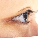 오영뷰티 | 대전 괴정동 속눈썹연장 속눈썹펌 맛집 바나나브로우