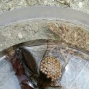 강내초교 병설유치원 이미지