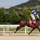 캡틴축산 이미지