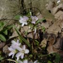 바로바로세탁소 이미지