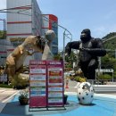 용감한슈퍼 | 여수 가볼만한곳 여수 유월드 루지 테마파크! 슈퍼패스, 롤글라이더 생생 후기