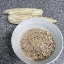 한계령웰빙영농조합법인 | 강원도찰옥수수 제철이라 더 맛있는 이유! 한계령웰빙영농조합 햇옥수수 솔직후기