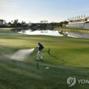 메이저골프 이미지