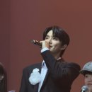 내친구고양이 이미지