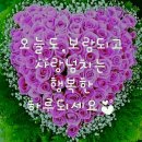 코코호도창원대방점
