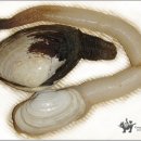 해물천국 이미지