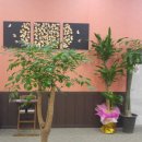 케이관광호텔 이미지