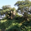 이교동일제군사시설 이미지