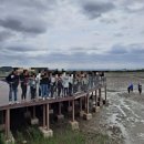 인천의 깃대종 이야기 이미지