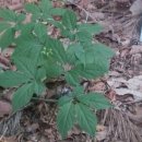 유정농장2 이미지