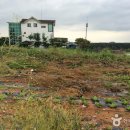 두리펜션 이미지